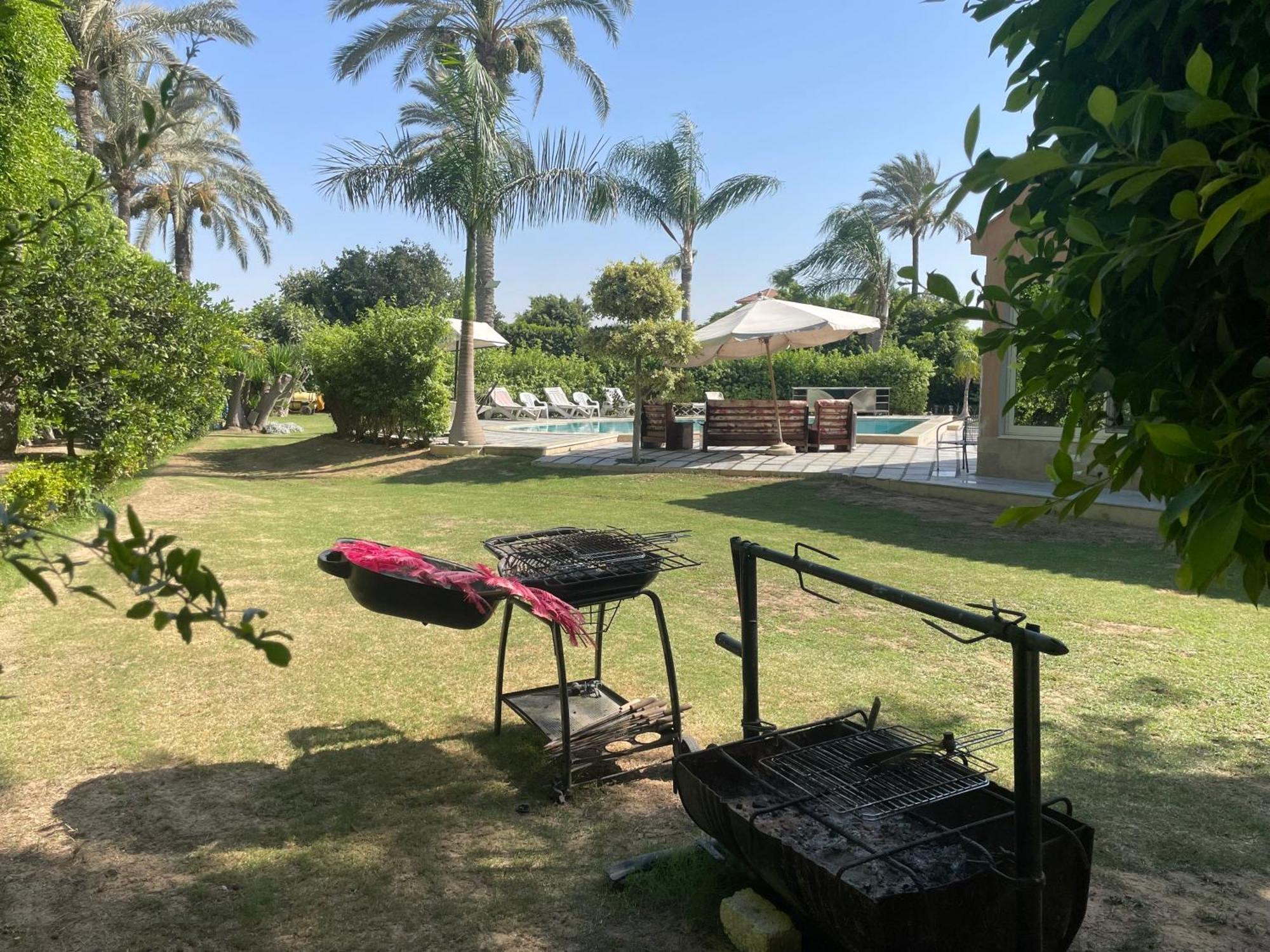 Luxury - King Mariout Villa